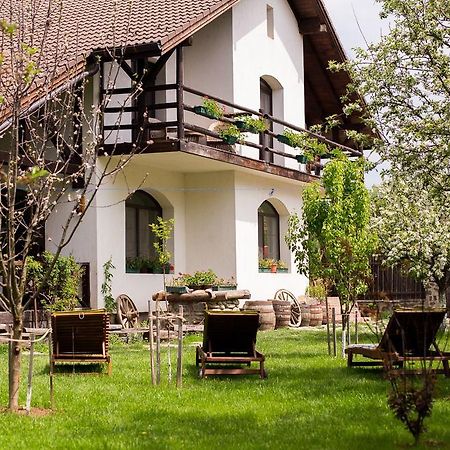 Casa Mosului - Transfagarasan Bed & Breakfast Cîrţişoara Εξωτερικό φωτογραφία