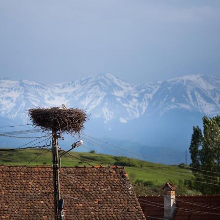 Casa Mosului - Transfagarasan Bed & Breakfast Cîrţişoara Εξωτερικό φωτογραφία