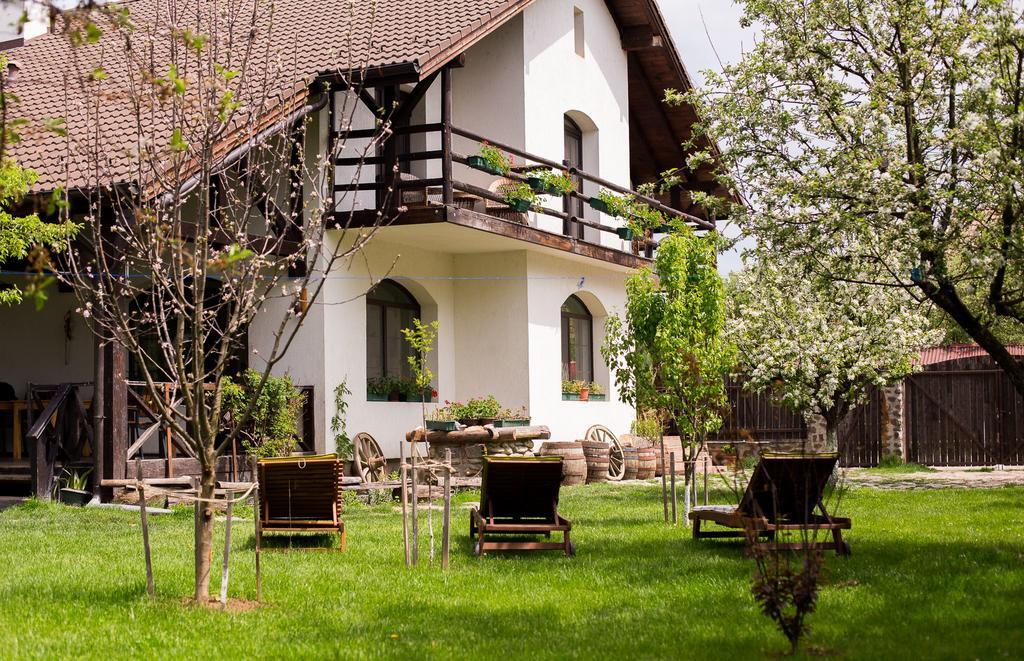 Casa Mosului - Transfagarasan Bed & Breakfast Cîrţişoara Εξωτερικό φωτογραφία