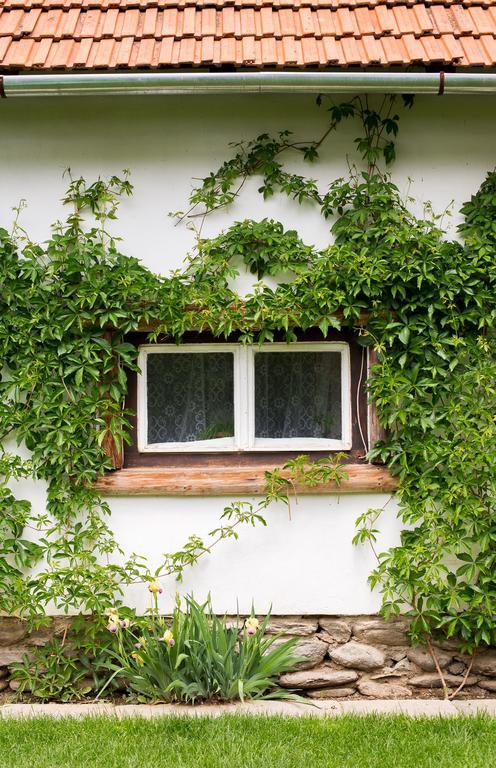 Casa Mosului - Transfagarasan Bed & Breakfast Cîrţişoara Εξωτερικό φωτογραφία
