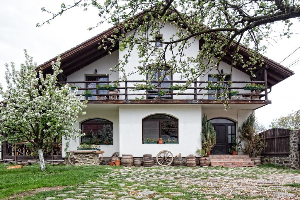 Casa Mosului - Transfagarasan Bed & Breakfast Cîrţişoara Εξωτερικό φωτογραφία