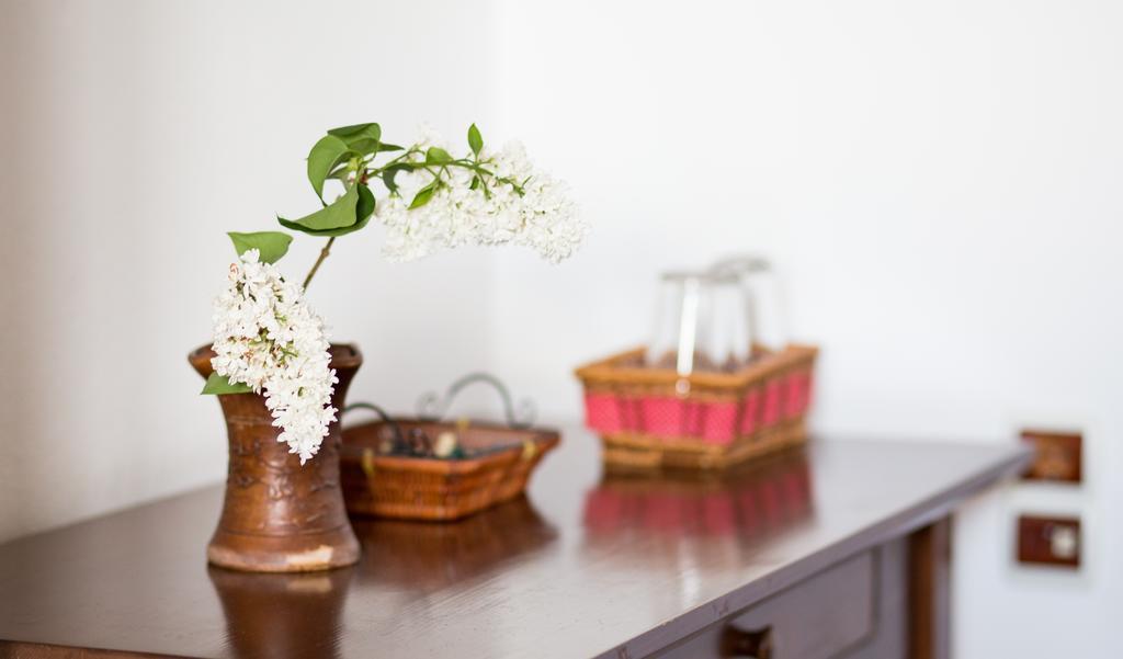 Casa Mosului - Transfagarasan Bed & Breakfast Cîrţişoara Εξωτερικό φωτογραφία