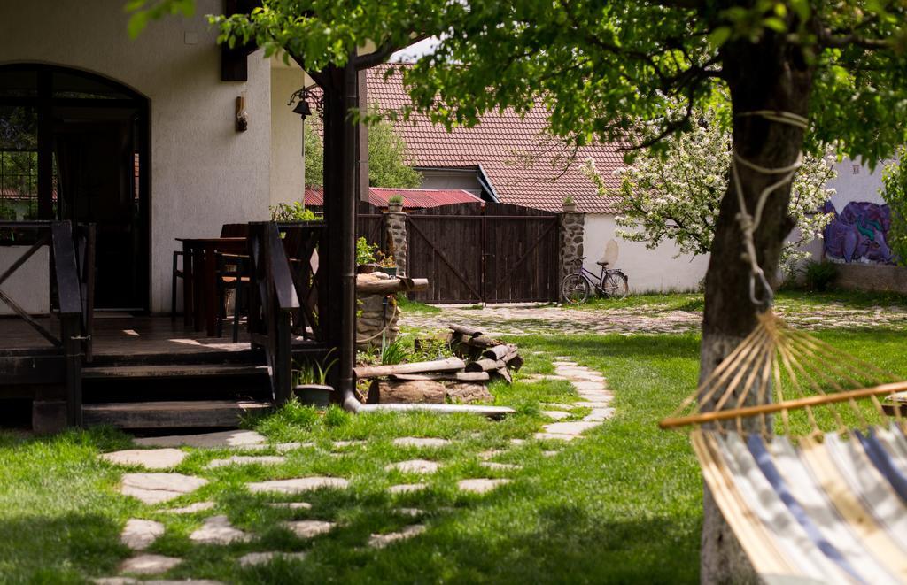 Casa Mosului - Transfagarasan Bed & Breakfast Cîrţişoara Εξωτερικό φωτογραφία