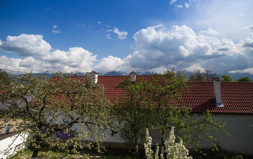 Casa Mosului - Transfagarasan Bed & Breakfast Cîrţişoara Εξωτερικό φωτογραφία