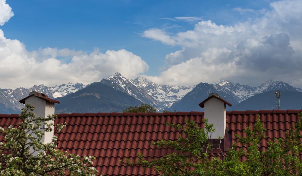 Casa Mosului - Transfagarasan Bed & Breakfast Cîrţişoara Εξωτερικό φωτογραφία