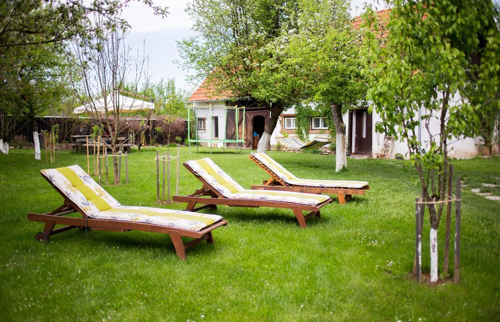 Casa Mosului - Transfagarasan Bed & Breakfast Cîrţişoara Εξωτερικό φωτογραφία