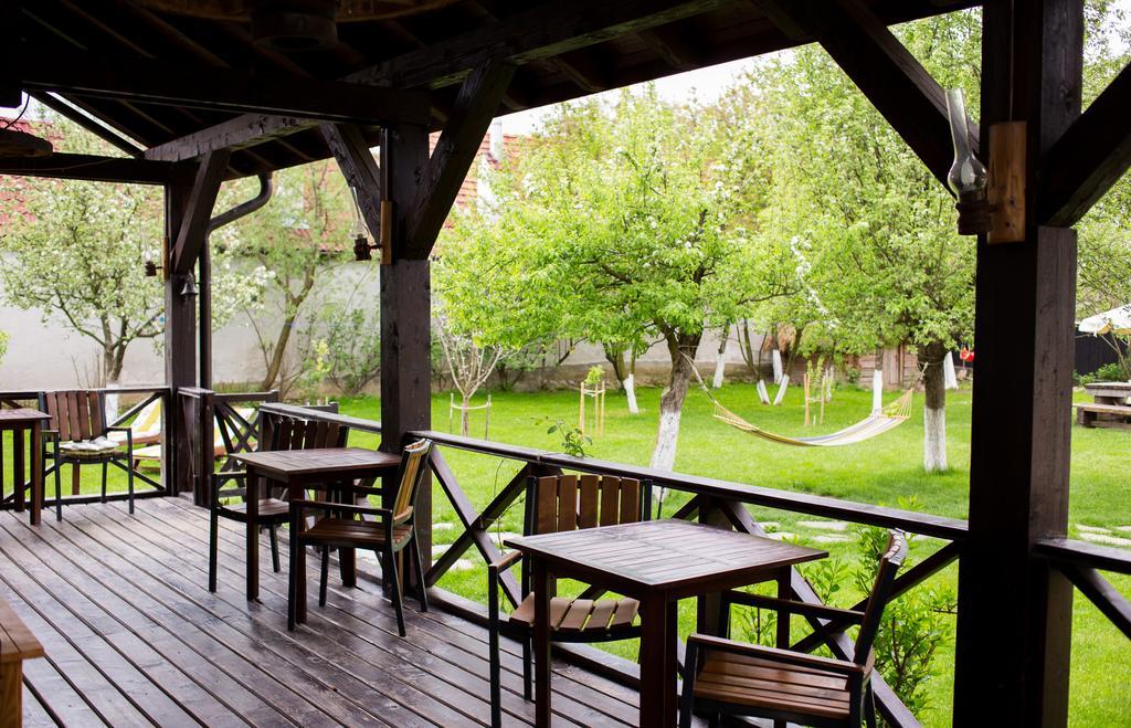 Casa Mosului - Transfagarasan Bed & Breakfast Cîrţişoara Εξωτερικό φωτογραφία
