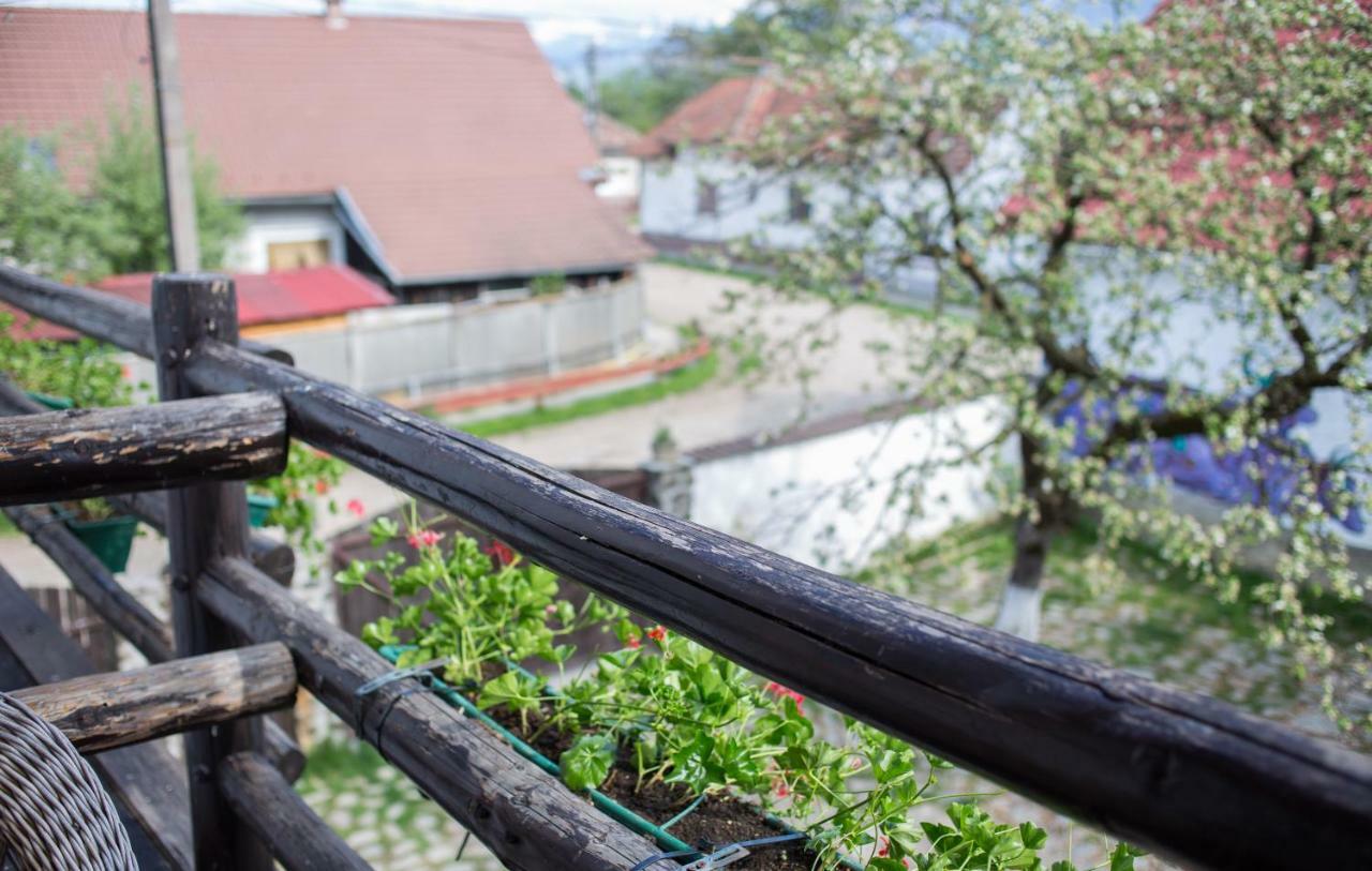 Casa Mosului - Transfagarasan Bed & Breakfast Cîrţişoara Εξωτερικό φωτογραφία